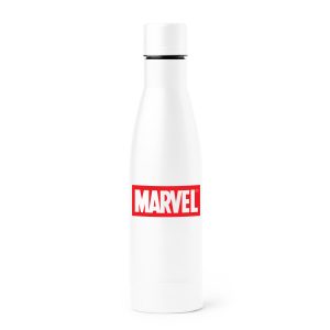 Fancy Double Walled Vacuum Bottle with matching lid (500ml)
